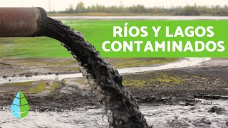 CAUSAS y CONSECUENCIAS de la CONTAMINACIÓN de LAGOS y RÍOS [upl. by Drye]