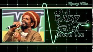 Cocoa Tea Best of The Best Greatest Hits mix by djeasy [upl. by Ennahtebazile]