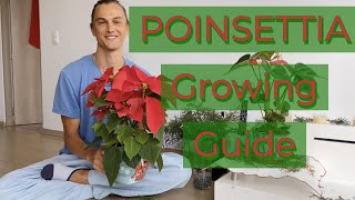 POINSETTIA Growing Guide amp Tutorial [upl. by Deland523]