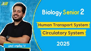 biology  senior 2 first term 2025  transport in human  Circulatory System  bishoy ayman [upl. by Alilahk463]