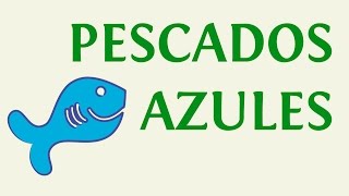 8 pescados azules ricos en Omega 3 [upl. by Yarb]