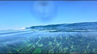 SCORING GLASSIEST NORTHERN REEF EXTREMELY SHALLOW TURNS BARRELS [upl. by Marsiella]