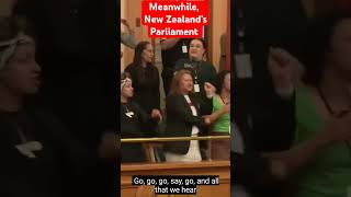 New Zealands Parliament Haka Maori [upl. by Letreece]