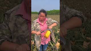 How to grow a new variety of pineapple and peel it in a new way [upl. by Nocam471]