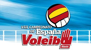 Pista 7 Voleibol campeonato de España Alevín 14062024 Mañana [upl. by Weatherby23]