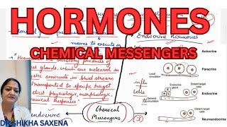 Endocrine paracrine neuroendocrine Endocrine cytokines [upl. by Grew]