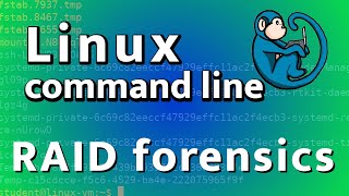 Redundant Array of Independent Disks RAID  forensic imaging and reassembly [upl. by Marlane]