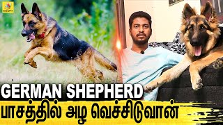 ஹிட்லரையே அழ வெச்ச DOG  All About Dogs EPISODE  17 [upl. by Llenrep]