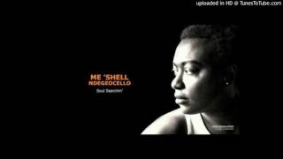 MeShell NdegéOcello quotSoul Searchin I Wanna Know If Its Minequot  1996 [upl. by Lednek]