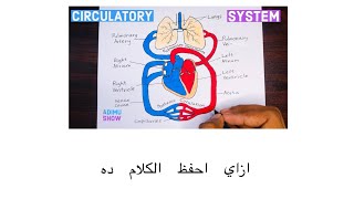 How to memorize the heart circulation  IGCSE BIOLOGY بالعربي [upl. by Silverts171]