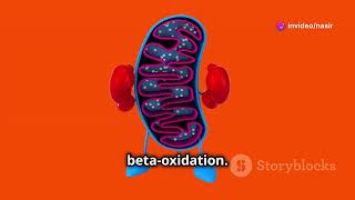 Lysosomes and peroxisomes lysosomes cellbiology youtube [upl. by Kaspar]