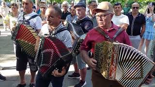 Concertinas  Arcos de Valdevez 772024 [upl. by Yllier]