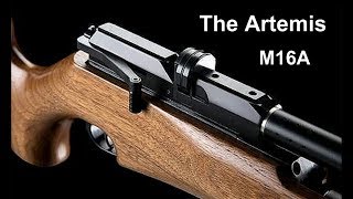 The Artemis M16A in field mini review [upl. by Enila]