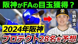 【阪神プロテクトリスト】DeNAの佐野選手をFAで獲得した場合に、人的補償から守るべき28名の選手を予想。 [upl. by Aihsila66]