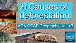 3 Causes of deforestation  AQA GCSE Geography Unit 1B [upl. by Inna]