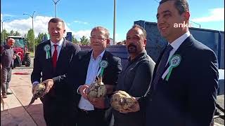 Kars Şeker Fabrikası şeker pancarı alımına başladı [upl. by Leann589]