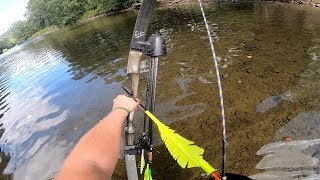 RECURVE BOWFISHING In Shallow Water INCREDIBLE INSTINCTIVE SHOTS  2019 Pennsylvania Mahoning Creek [upl. by Monica]