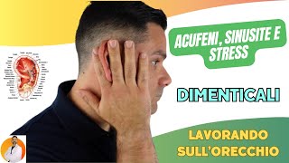 ACUFENI SINUSITE e STRESS dimenticali lavorando sullorecchio [upl. by Leugar]