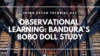 Observational Learning Banduras Bobo Doll Study Intro Psych Tutorial 67 [upl. by Anitsim]