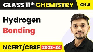 Hydrogen Bonding  Chemical Bonding and Molecular Structure  Class 11 Chemistry [upl. by Angelis782]