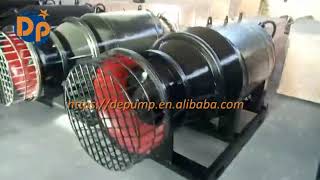 Axial flow pump from China [upl. by Ecinrev]