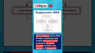 Euglycemic Diabetic Ketoacidosis EDKA [upl. by Enitsua]