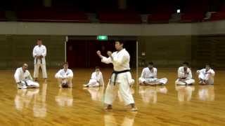 Suparinpei kata Gojuryu version [upl. by Eelyk]