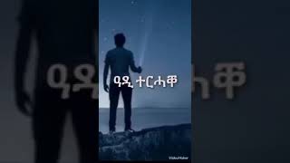 tigrignamusic ዓዲ ተረሓቀ  best old tigrigna music 2024 tigrignamusic [upl. by Wareing]