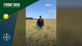 The Front Row DEKALB® DKLL 84 CRSC  Canola with Straight Cut Genetics amp High Yield Potential [upl. by Recor]