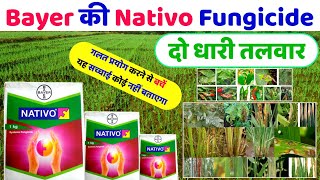 Nativo Fungicide  Bayer Nativo Hindi  Systemic fungicide  नेटिवो बायर  बैक्टीरिया साइट [upl. by Aidole]