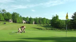 Woodloch Golf [upl. by Urana]