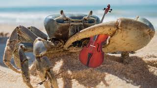 Crab Rave but its Classical music [upl. by Peale]