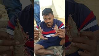 tigor price 🦐🦐 food seafood reels sagarpatil728 [upl. by Akim]