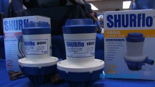 Shurflo Livewell Pumps [upl. by Seuqram]