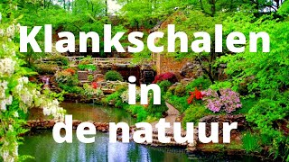 klankschalen meditatie kort  natuur vogels kabbelend beekje klankschalen [upl. by Annot522]