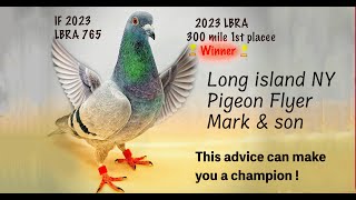 Mark and Son Loft shares secrets that can make you a pigeon champion [upl. by Keffer]