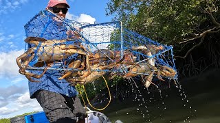 Full Crab Pots  BIG MUD CRABS  Cook up [upl. by Lola]