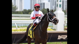 EMISAEL JARAMILLO EL MUCHACHO DE LA PELICULA quotGULFSTREAM PARK ES MIAquot SIGUE SUMANDO VICTORIAS [upl. by Aymer]