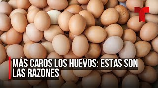 Dramático aumento en el precio de la docena de huevos [upl. by Maryann]