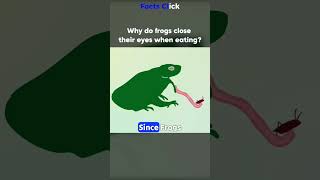 Why Do Frogs Close Their Eyes While Hunting 🐸👁️  Facts Click shortsvideo facts [upl. by Thorley165]