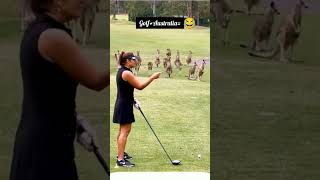 Kangaroo playing with golfmany kangaroo face to face of golf womenviral videoTrendingviral short [upl. by Cirded348]