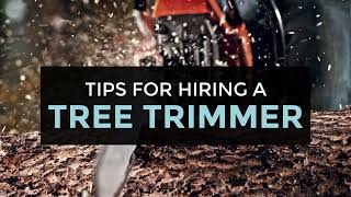 Tips for Hiring a Tree Trimmer [upl. by Kciredohr]