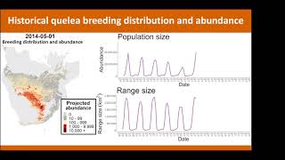 African workshop on fenthion risks and alternatives for quelea birds control Martin Dallimer [upl. by Nedearb]