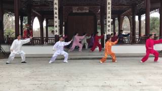 020417 Guo Jie Tai Chi Group Yang 8 100 pm [upl. by Hnirt360]