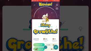 Shiny Hisuian Growlithe becomes a Noble Pokemon pokemoncollector legendarceus pokemongo hisui [upl. by Standish]