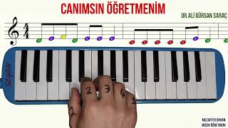 Melodika Öğreniyorum  Canımsın Öğretmenim [upl. by Akiehsat]