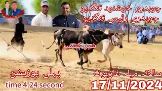 mala dina winer dand 17112024 champion dand sharkashmir time 424 owner ch kashnood ch Raees [upl. by Chelsie]