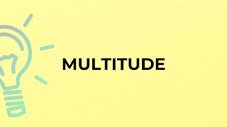 What is the meaning of the word MULTITUDE [upl. by Shulins851]