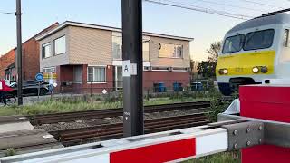 2 MS80 from NMBS cross at junction in Aarschot Flanders [upl. by Lahcym308]