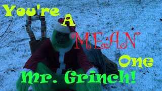 Youre a Mean One Mr Grinch [upl. by Abijah]